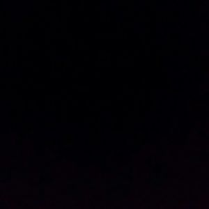 Meet your Posher, Bob