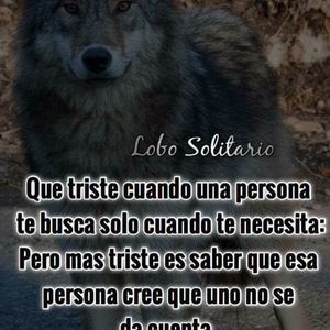 Meet your Posher, Delfino