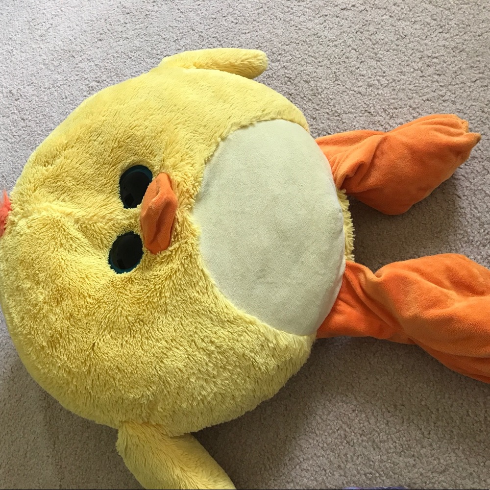 Toy