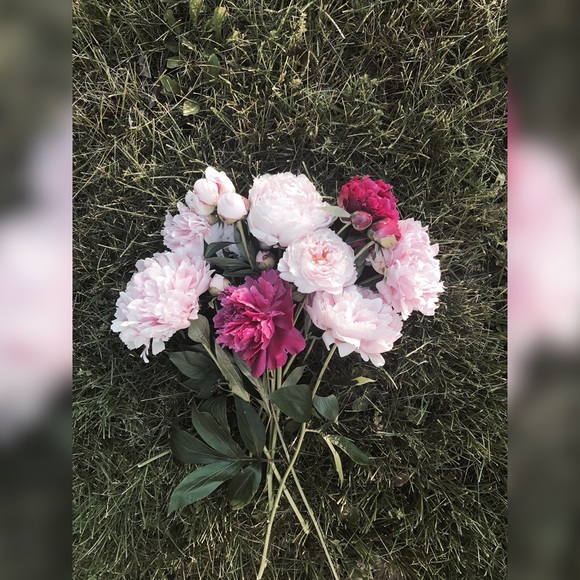 Meet your Posher, Adriana - Picture 1 of 1