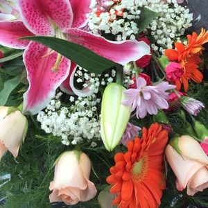 Meet your Posher, Delaney