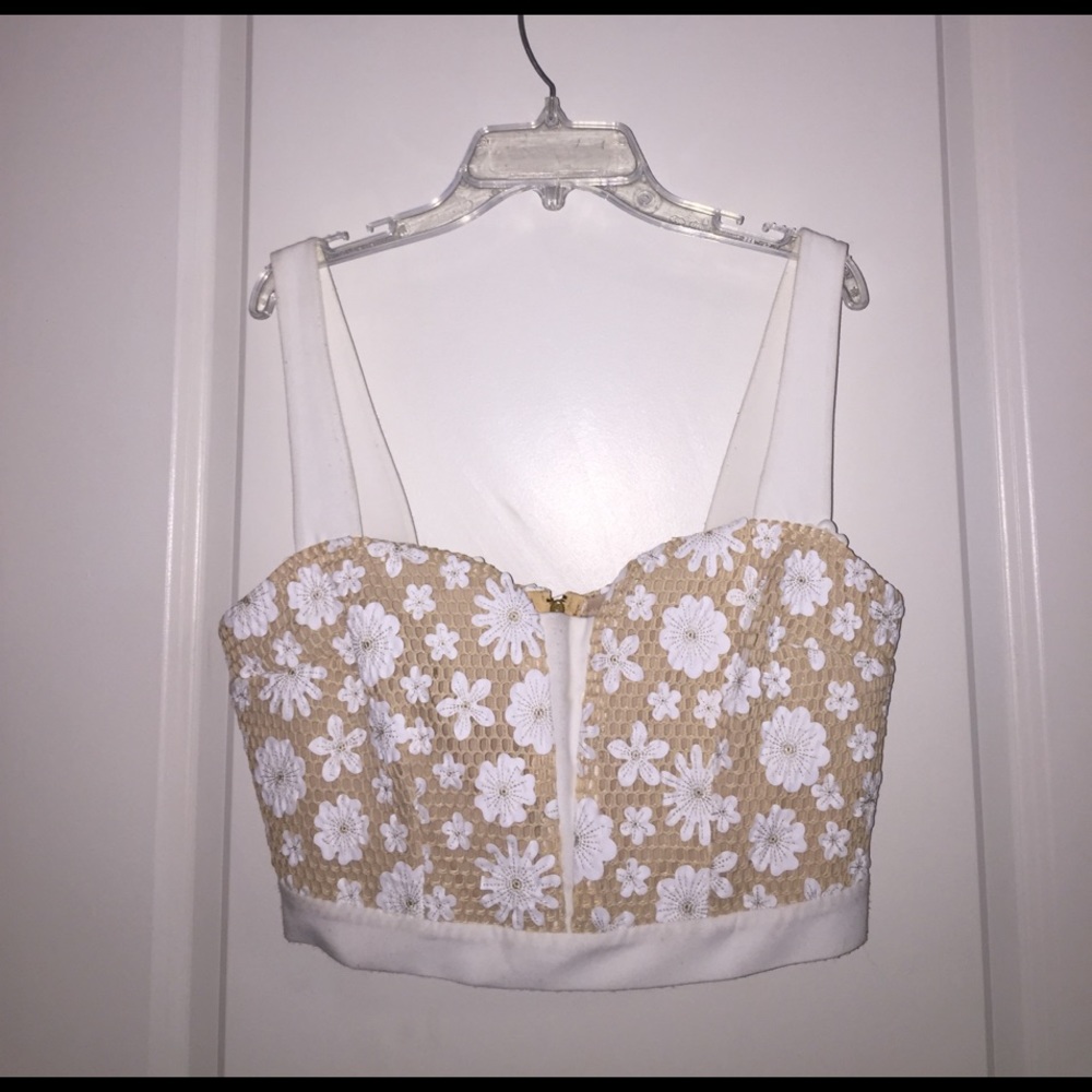 Vintage Bustier/Crop Top