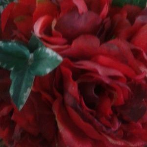 Meet your Posher, Lanelle