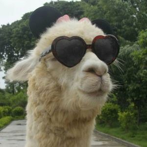 Meet your Posher, Ruben