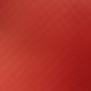 Meet your Posher, Vicky