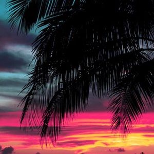 Meet your Posher, Diego