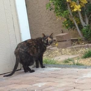 Meet your Posher, Casey