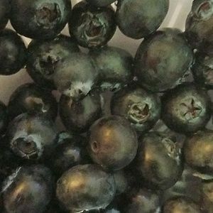 Meet your Posher, Hormoz