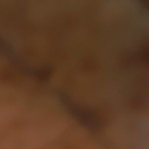 Meet your Posher, Trevor