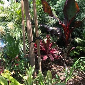 Meet your Posher, Patry