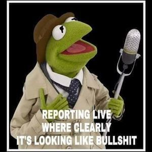 Meet your Posher, Nyi nyi