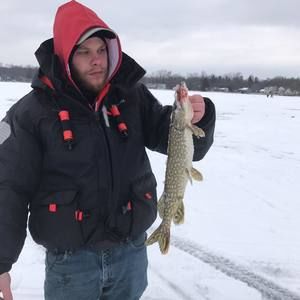 Meet your Posher, Cody