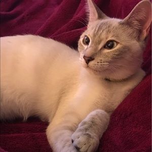 Meet your Posher, Ali