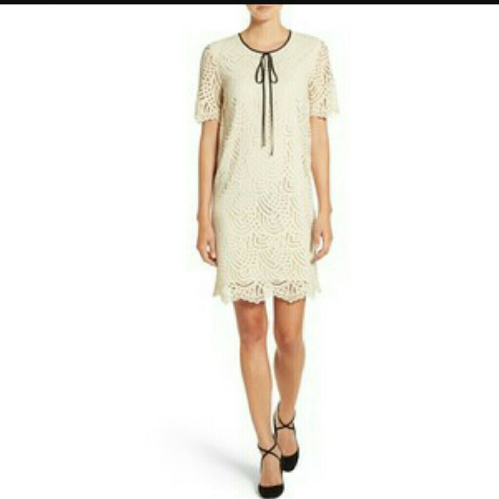 New Without Tag Halogen Lace  Tunic Dress XS