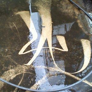 Meet your Posher, Jayson