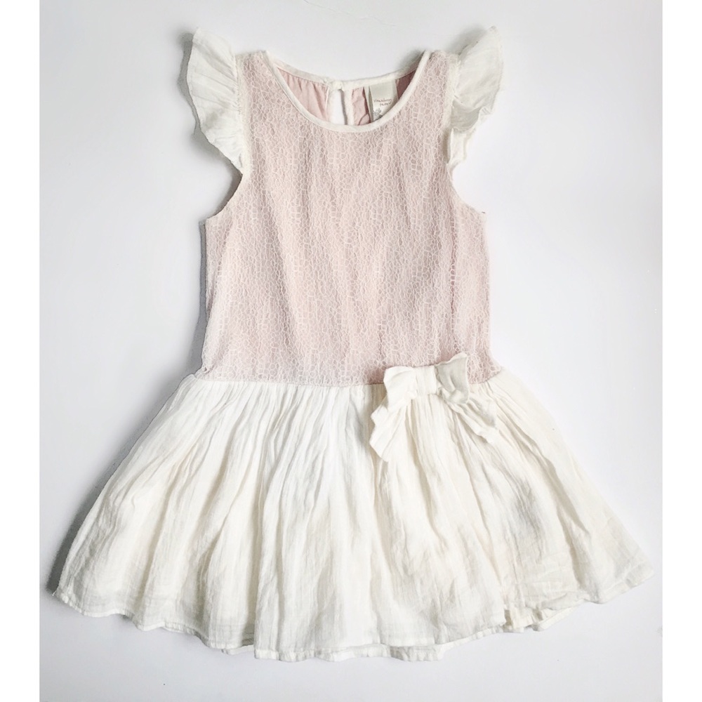 Strawberry Faire dress