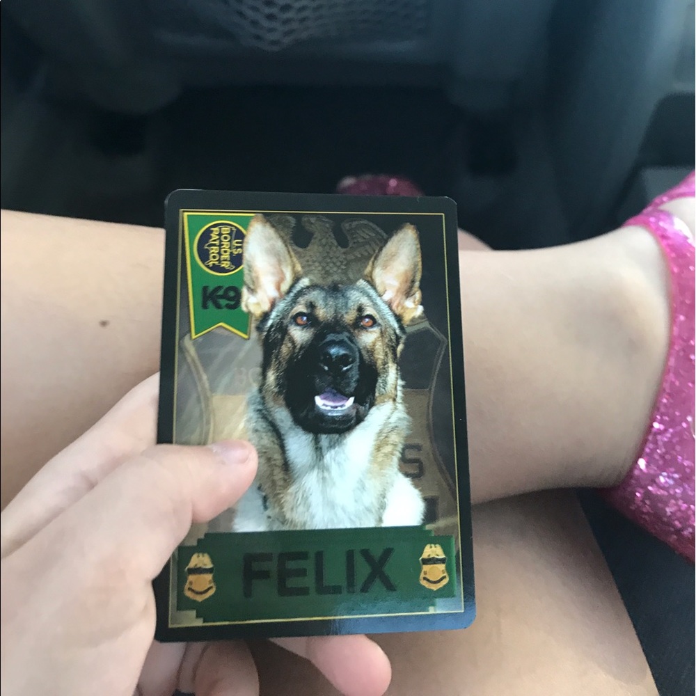 Meet your Posher, Brissa