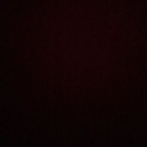 Meet your Posher, Kalie