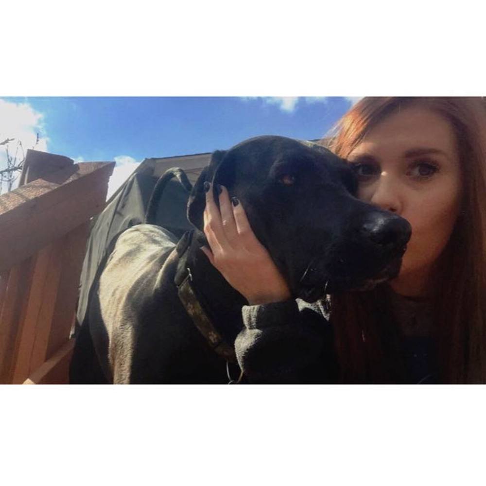Meet your Posher, Bailey