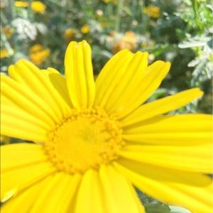 Meet your Posher, Breanna