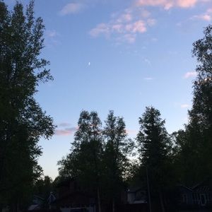 Meet your Posher, Carlito