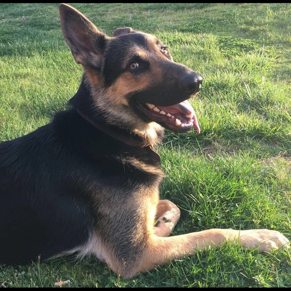 All about me - Picture 2 of 4