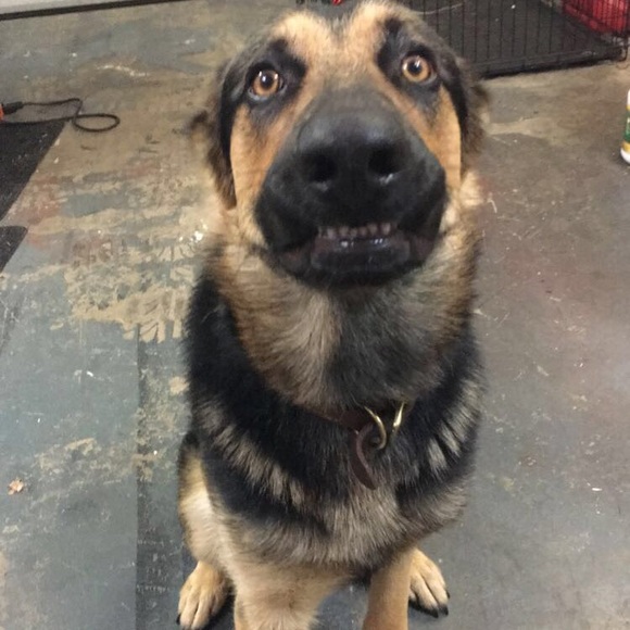 All about me - Picture 4 of 4