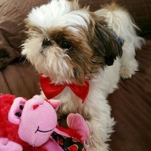 Meet your Posher, Kate