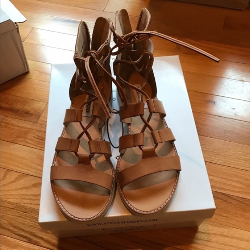 Steve  Madden gladiator sandals.