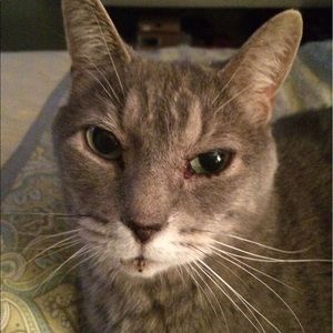 Meet your Posher, Karrie