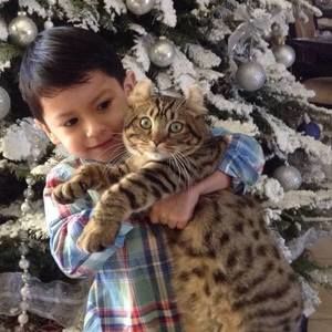 Meet your Posher, Elsa