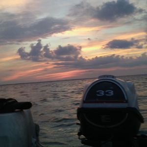 Meet your Posher, Jonah