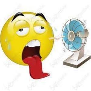 Meet your Posher, Joy