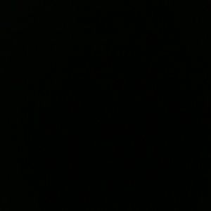 Meet your Posher, Latrice