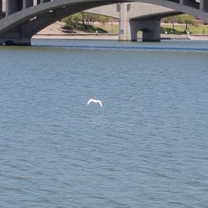 Meet your Posher, Gabriela