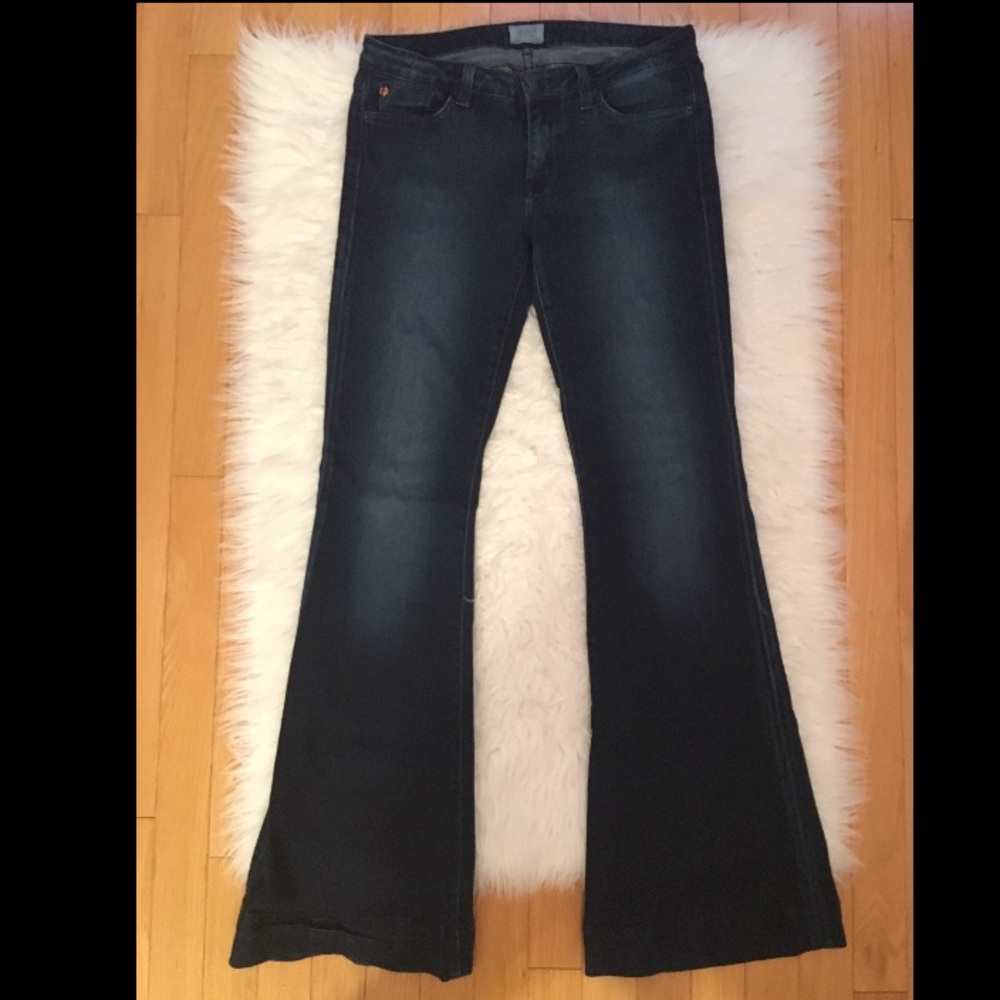 Hudson Jeans / Flare / Size 28