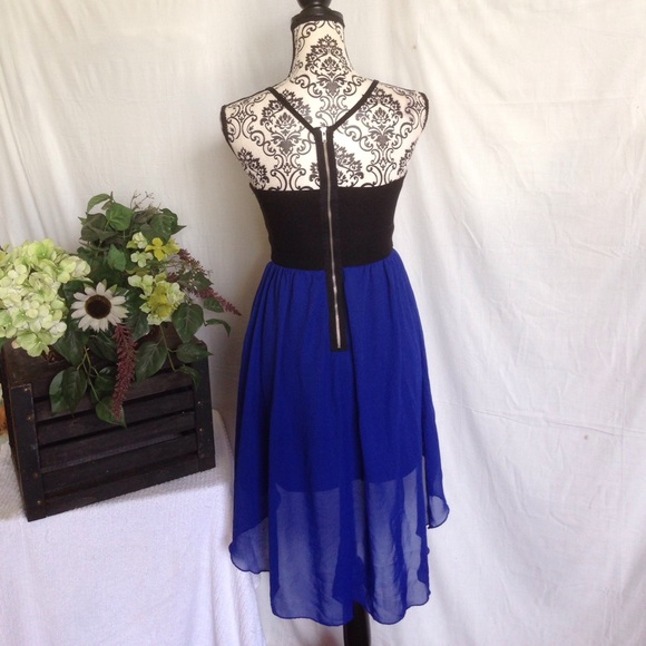 Bird Cage Cobalt & Black Chiffon Dress - Picture 3 of 4
