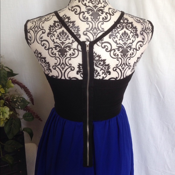 Bird Cage Cobalt & Black Chiffon Dress - Picture 4 of 4