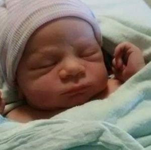 Meet your Posher, Lori