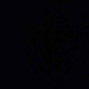 Meet your Posher, Logan