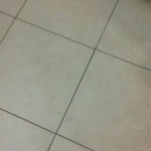 Meet your Posher, Mara