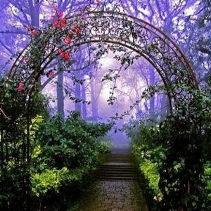 Meet your Posher, Priya