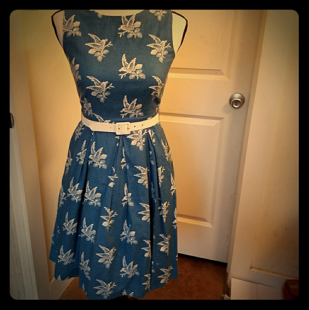 Beautiful Blue Bird Dress