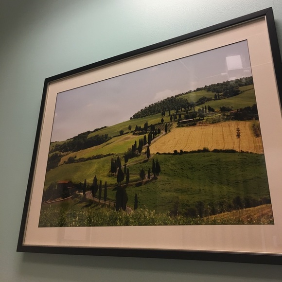 Meet your Posher, Zee - Picture 1 of 1