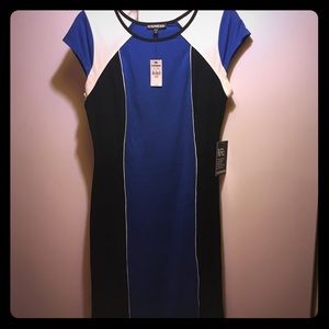 NWT Express dress