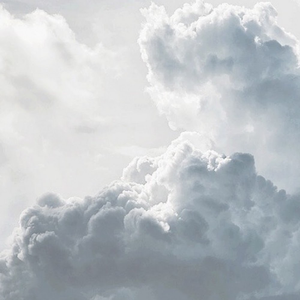 Meet your Posher, Natalia