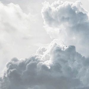 Meet your Posher, Natalia