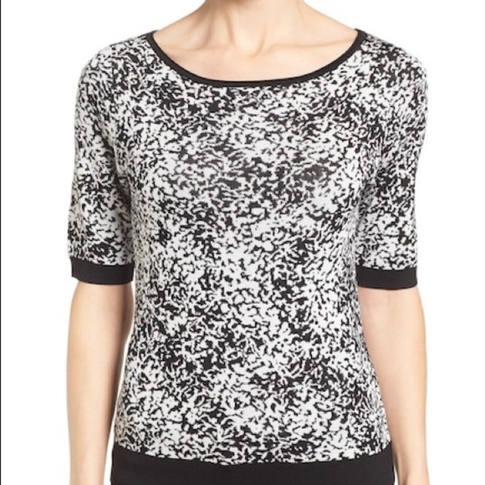 Classiques Entier Printed Silk Sweater