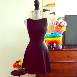 American Apparel Ponte Sleeveless Skater Dress