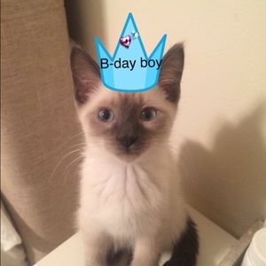 Meet your Posher, Karina